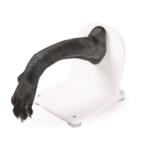 Bandage Trainer Paw