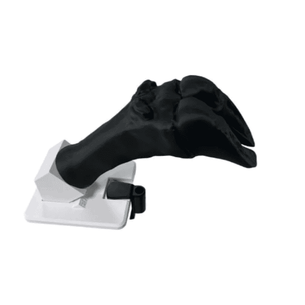Bovine Hoof Bandage Simulator