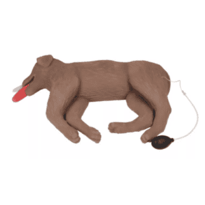 Canine CPR Manikin "CooPeR"