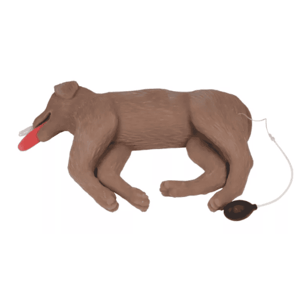 Canine CPR Manikin “CooPeR”