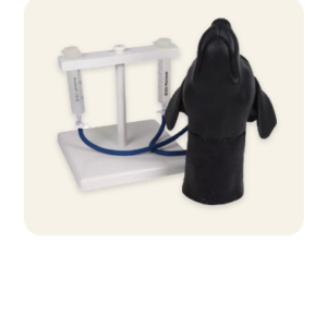 Canine Jugular Venipuncture Training Head