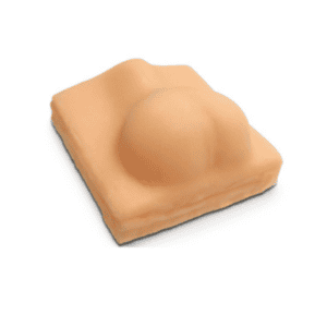 Dog Castration Training Model