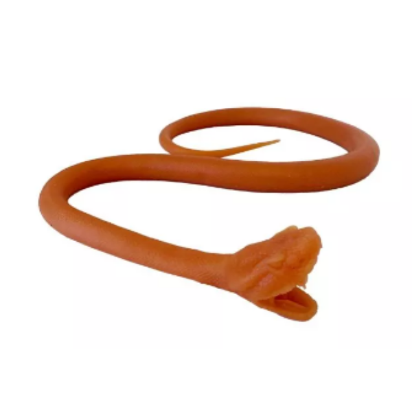 Endotracheal Intubation of the Snake