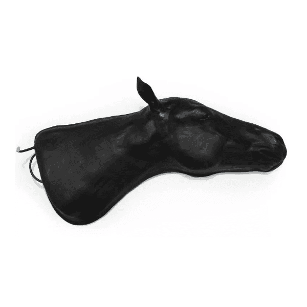 Equine Simulator