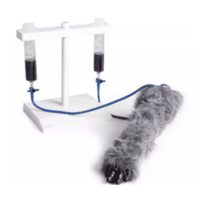 Canine IV Injection Leg