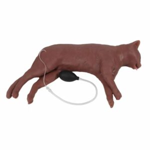 CaPpeR Feline CPR Manikin