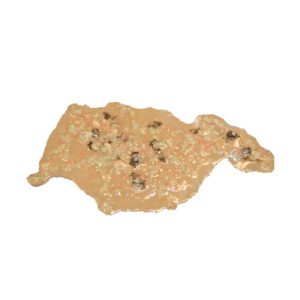 Moulage Sciences Simulated Vomit - Brown with Odor