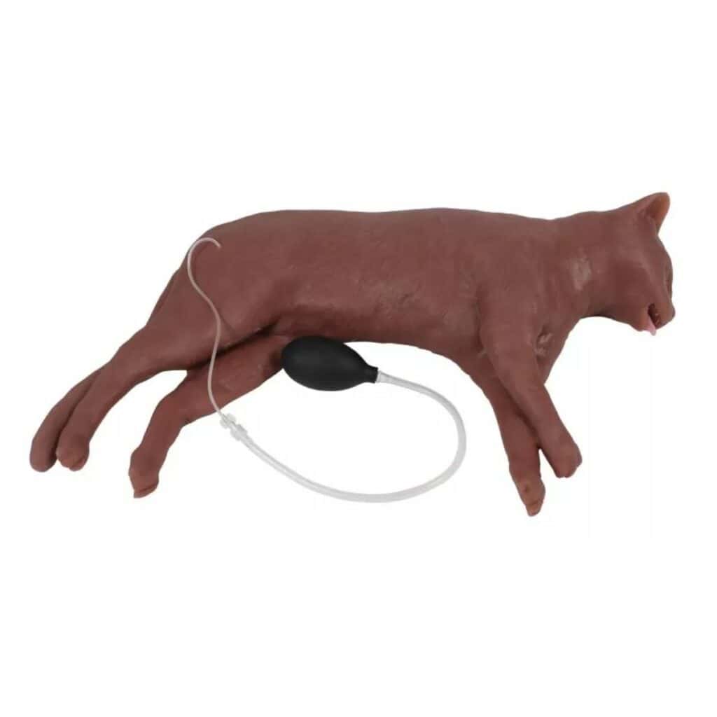 CaPpeR Feline CPR Manikin