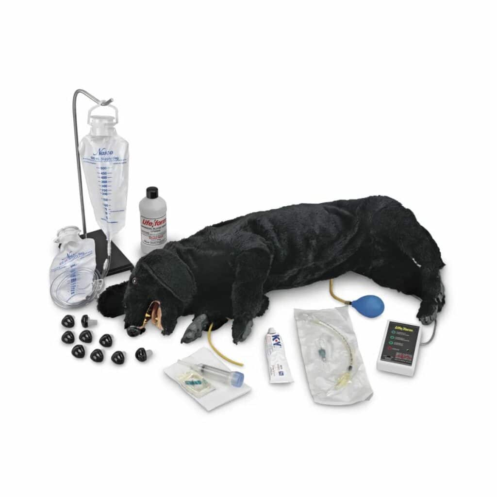 Nasco Advanced Sanitary CPR Dog