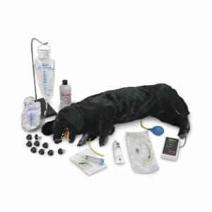 Nasco Advanced Sanitary CPR Dog