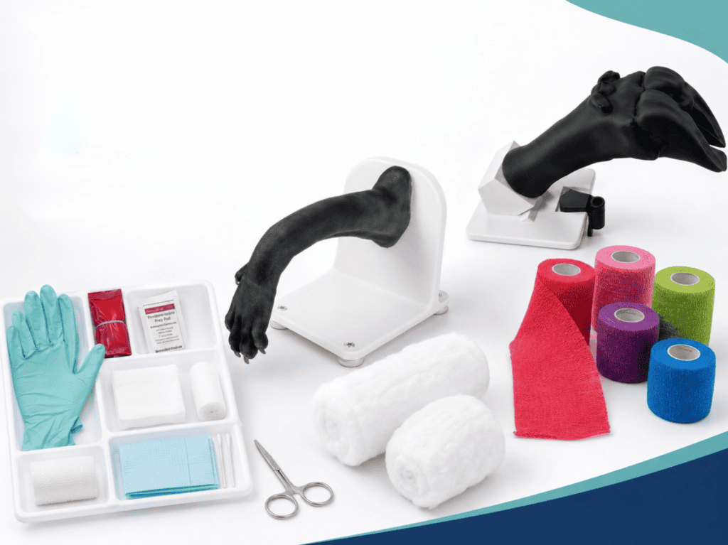 How to train veterinary wound care and bandaging