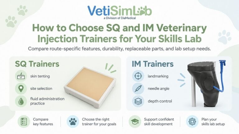 How to Choose SQ and IM Veterinary Injection Trainers for Your Skills Lab